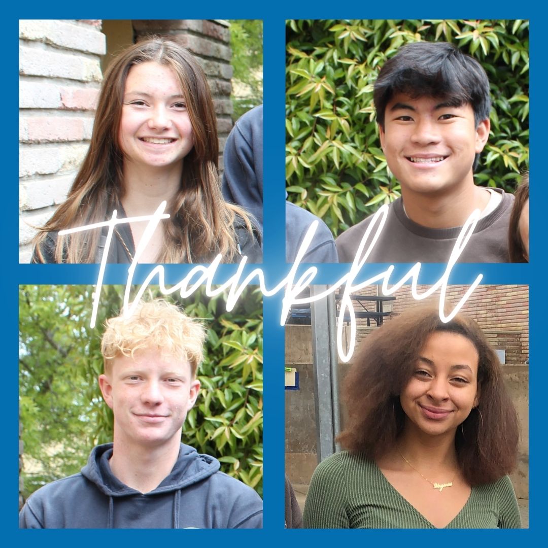 Expressing Our Gratitude This Holiday Season