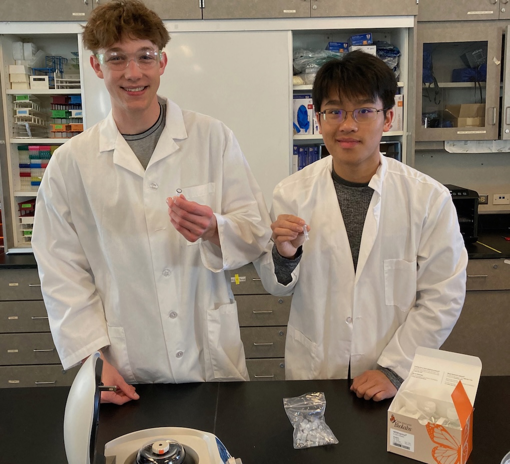 Eg2425 protein purification jennifer o'hara 2